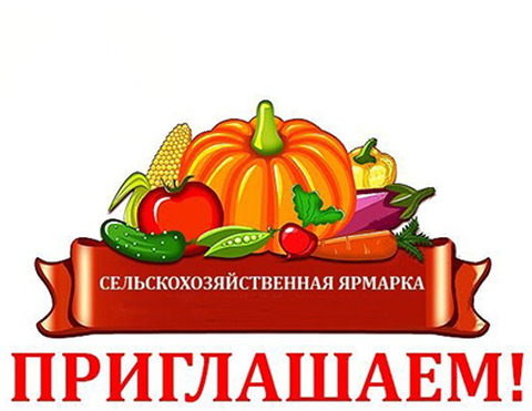 455_480xauto_keep_ratio-274234654