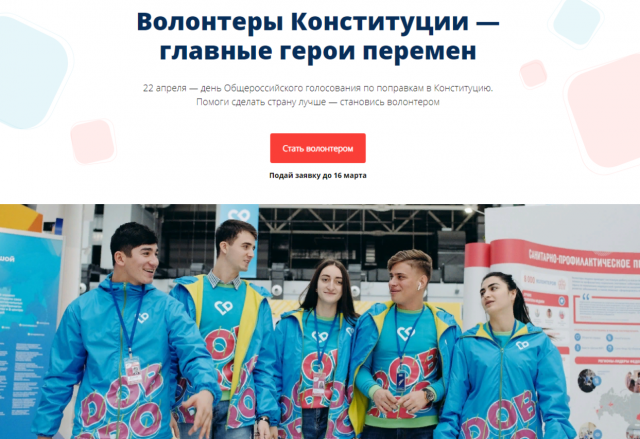 Волонтеры конституции