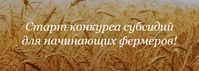 konkurs-subsidiy-dlya-fermerov
